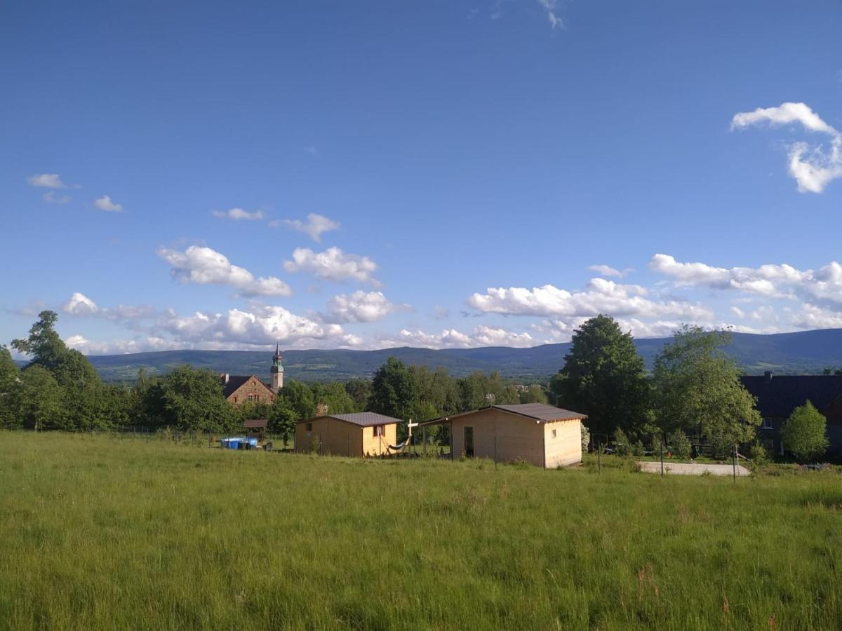 Domek W Gorach Izerskich 4 I 6 Osobowy, Agroturystyka, Zywe Zwierzeta, W Pelni Wyposazone, Plac Zabaw Dla Dzieci, Ognisko Z Kijkami I Rusztem, Ogrzewanie I Klimatyzacja, Latem Basen Mirsk Zewnętrze zdjęcie