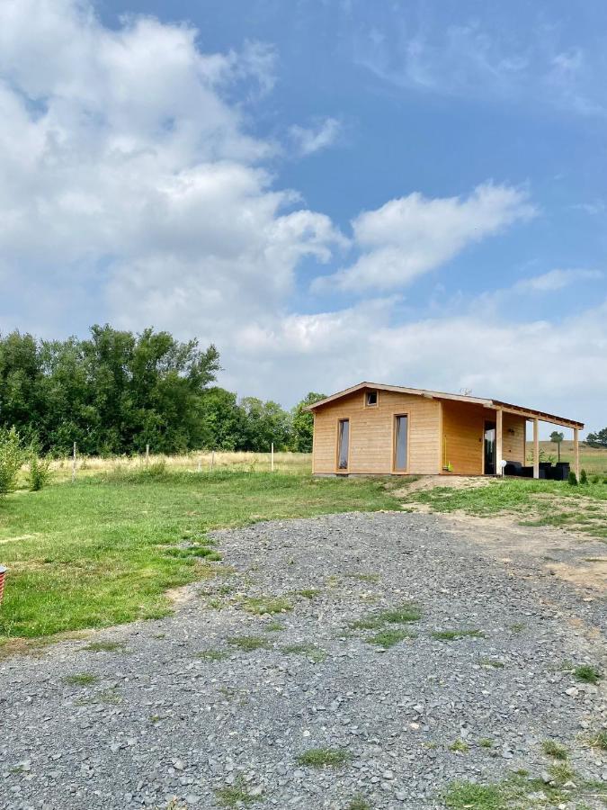 Domek W Gorach Izerskich 4 I 6 Osobowy, Agroturystyka, Zywe Zwierzeta, W Pelni Wyposazone, Plac Zabaw Dla Dzieci, Ognisko Z Kijkami I Rusztem, Ogrzewanie I Klimatyzacja, Latem Basen Mirsk Zewnętrze zdjęcie