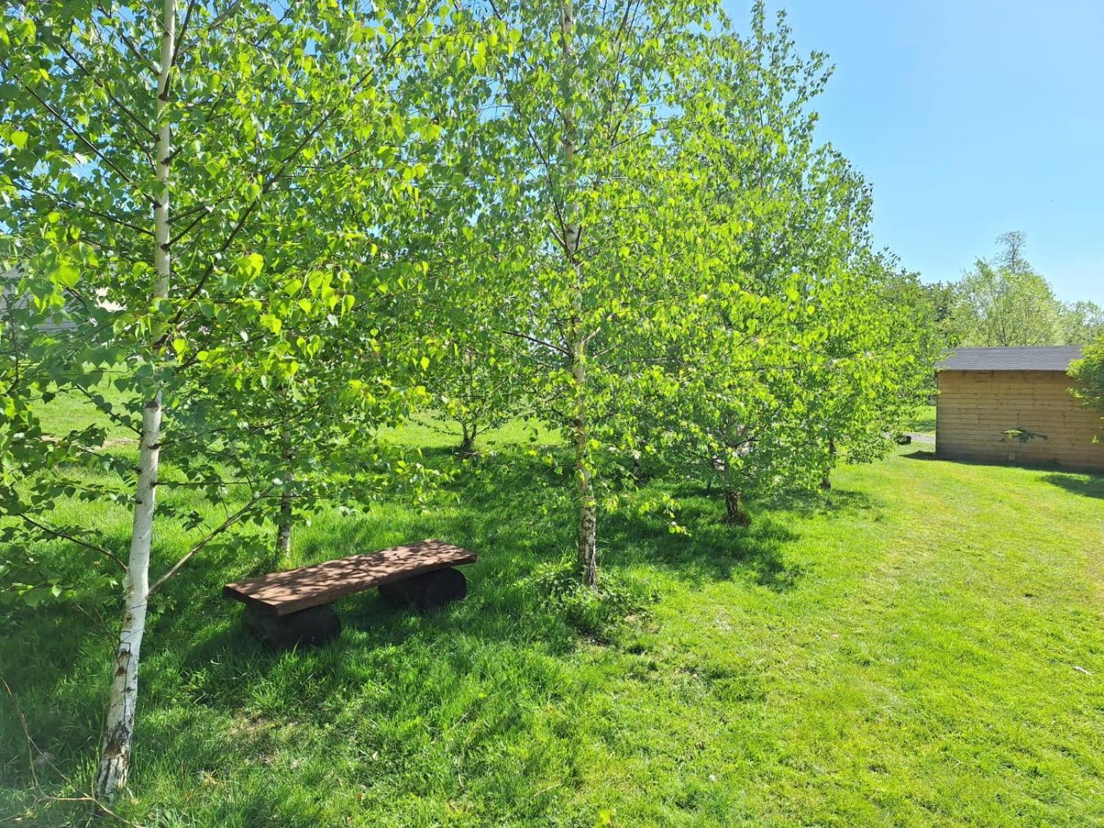 Domek W Gorach Izerskich 4 I 6 Osobowy, Agroturystyka, Zywe Zwierzeta, W Pelni Wyposazone, Plac Zabaw Dla Dzieci, Ognisko Z Kijkami I Rusztem, Ogrzewanie I Klimatyzacja, Latem Basen Mirsk Zewnętrze zdjęcie